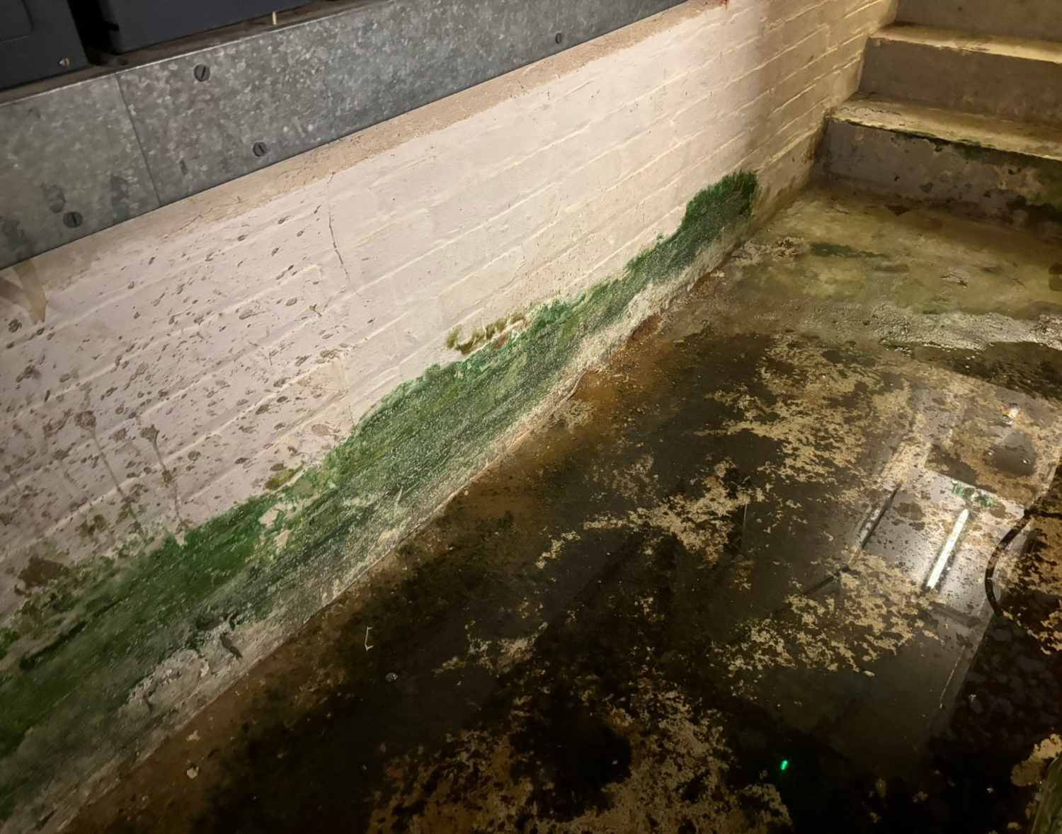 Dilapidations assessment at Lloyds Bank Shirley, Southampton, Hampshire Dilapidations assessment at Lloyds Bank Shirley, Southampton, Hampshire. Basement of former Lloyds Bank building on a high street corner showing traditional commercial property façade